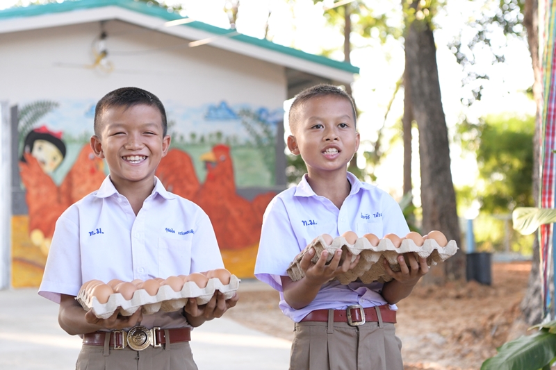 ไข่ไก่อารมณ์ดี (10 ฟอง)